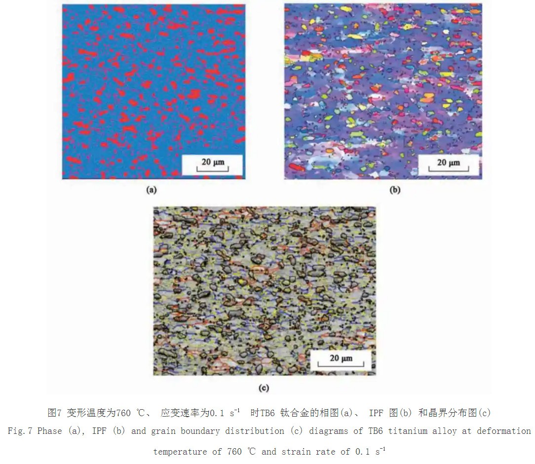 1733576701194865.jpg 7.jpg