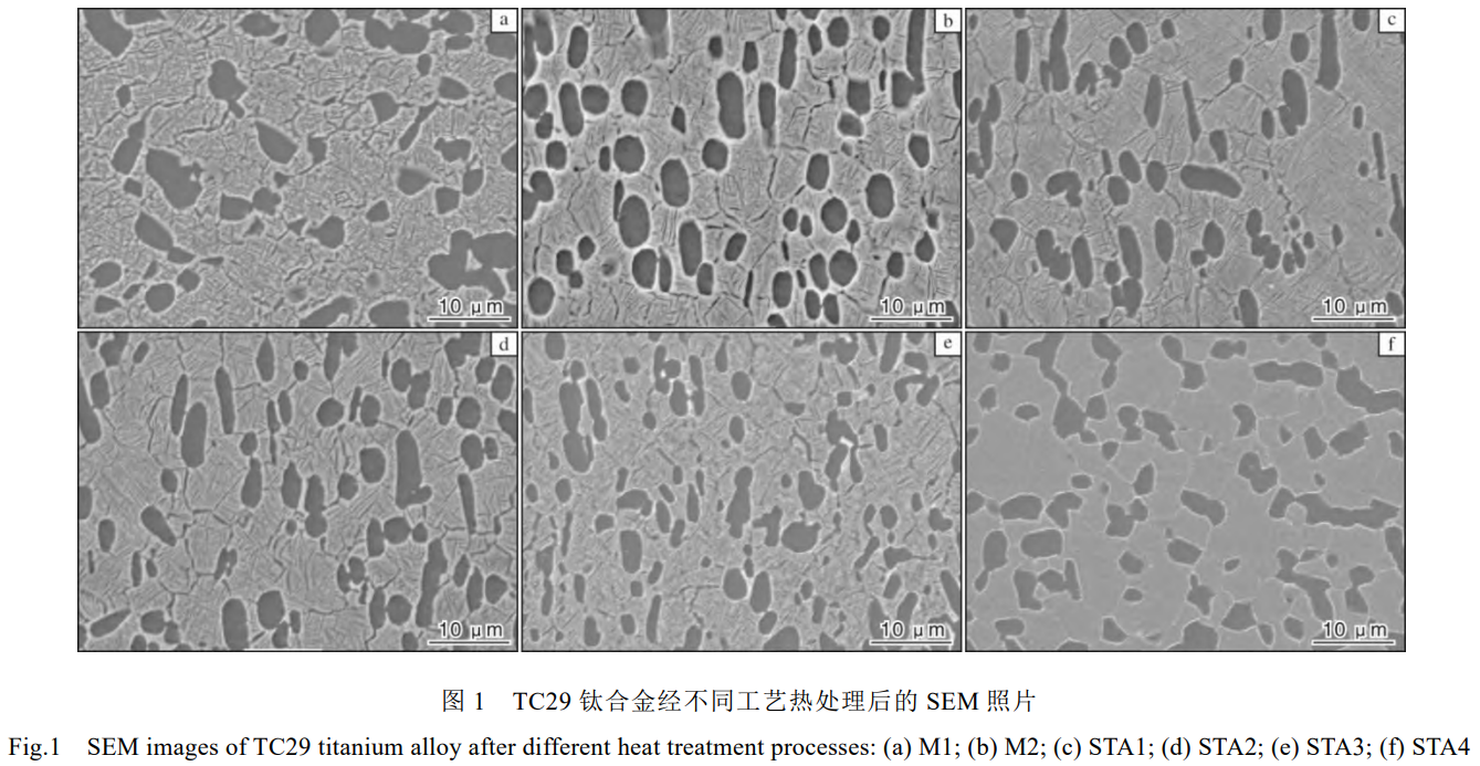 1736066932564719.png 1.png