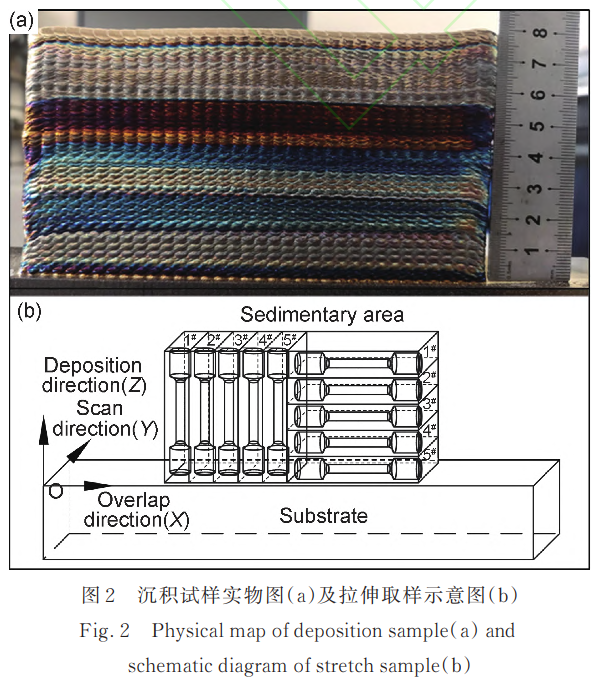 1743388802614526.png 截圖20250331103628.png