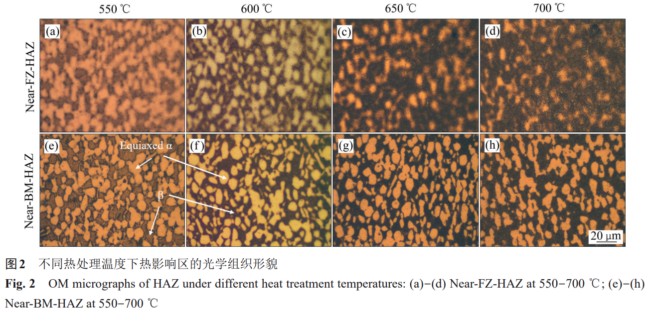 1758633497116077.png 截圖20250923211231.png
