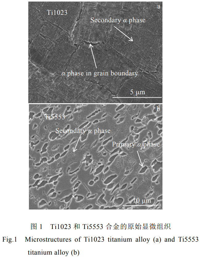 1768822498649411.png 1.png