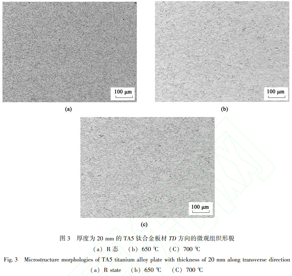 1769346356977347.jpg 3.jpg